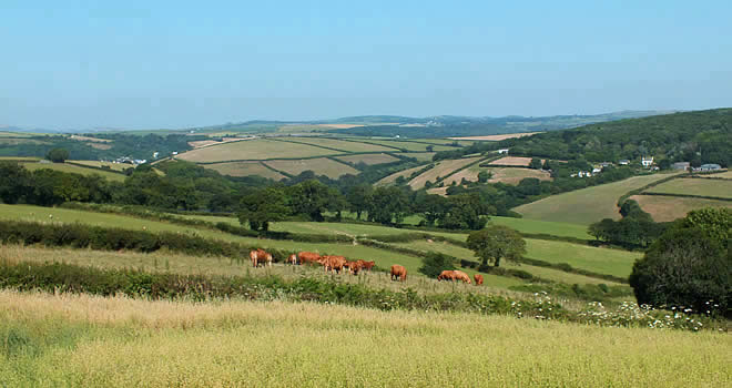 Views of the surrounding countryside from Lanteglos Highway